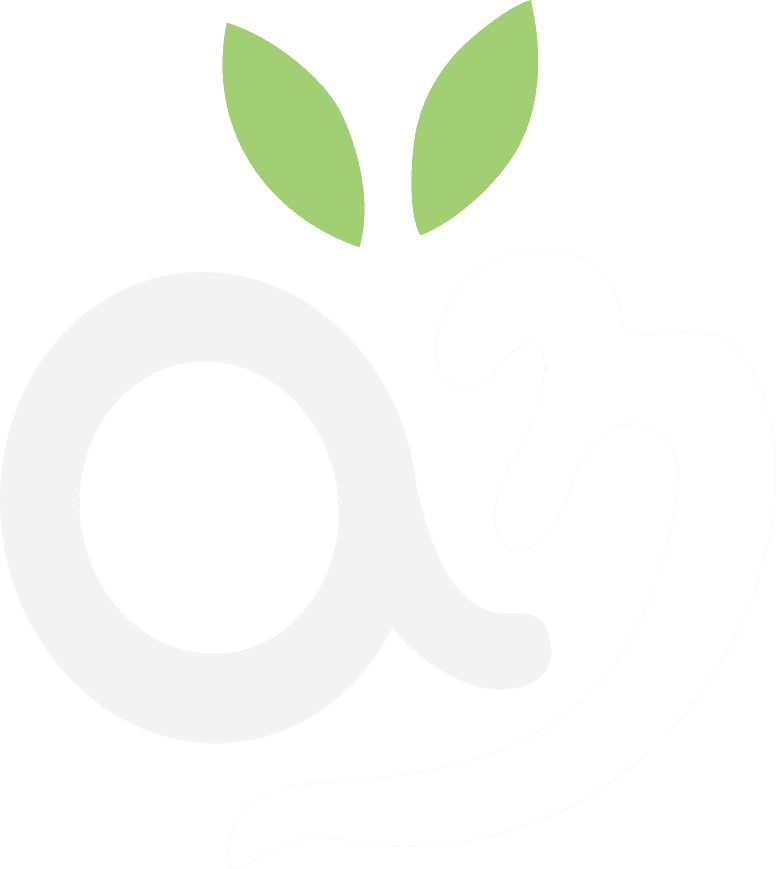 Al Noor Logo